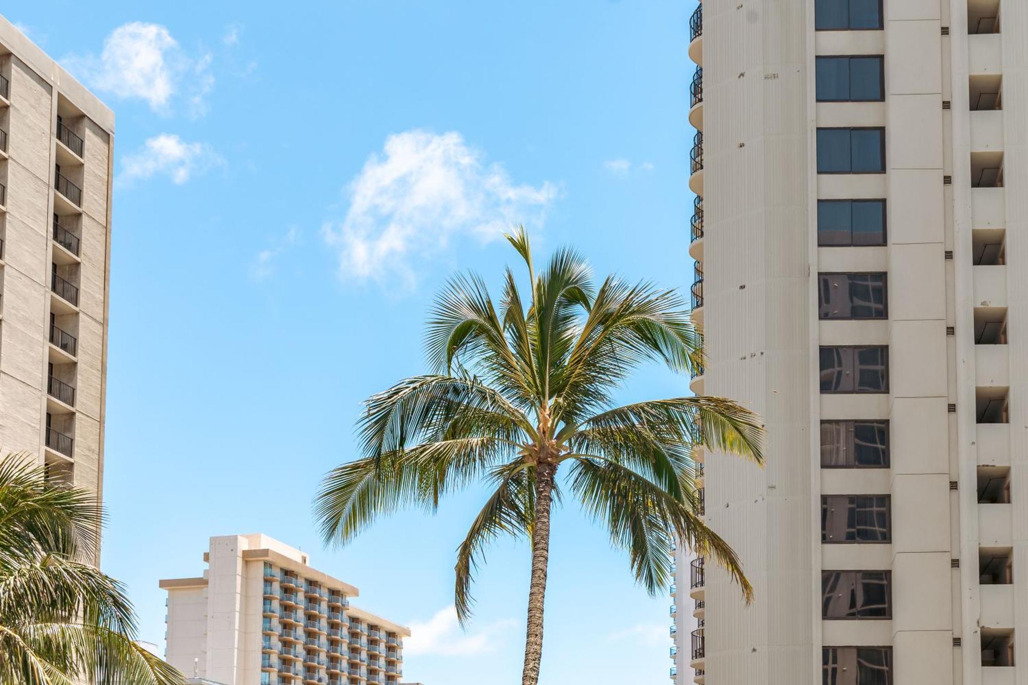 Upscale Penthouse With Ocean Views - Free Parking Apartamento Honolulu Exterior foto